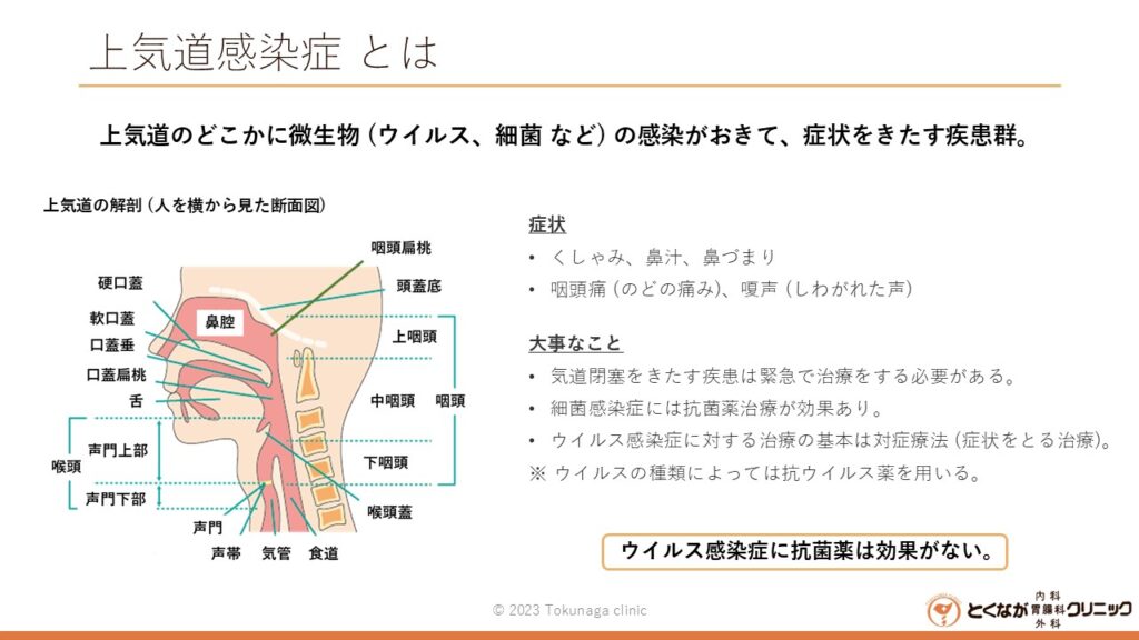 上気道感染症とは のイメージ画像