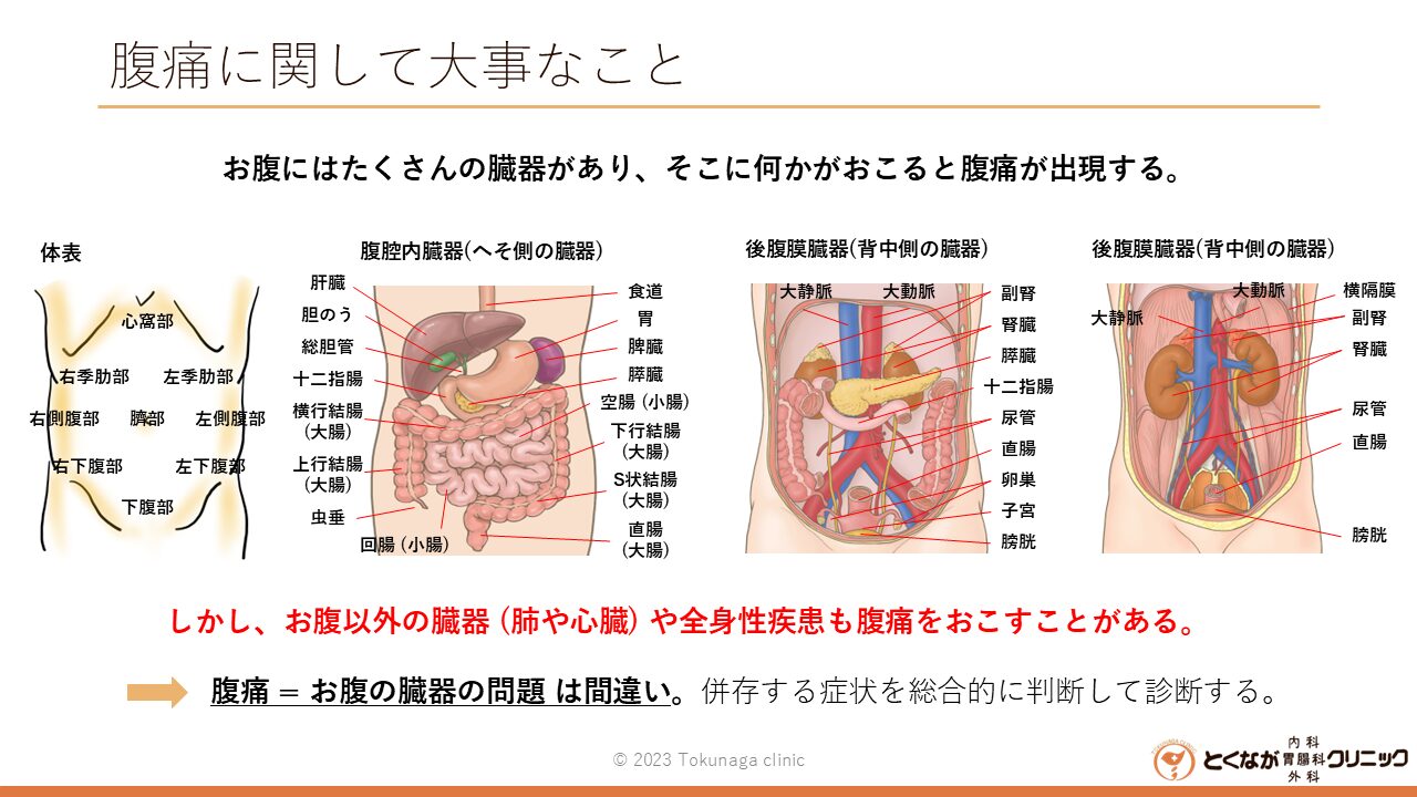 腹痛 = お腹の病気とは限らない- とくなが内科胃腸科外科