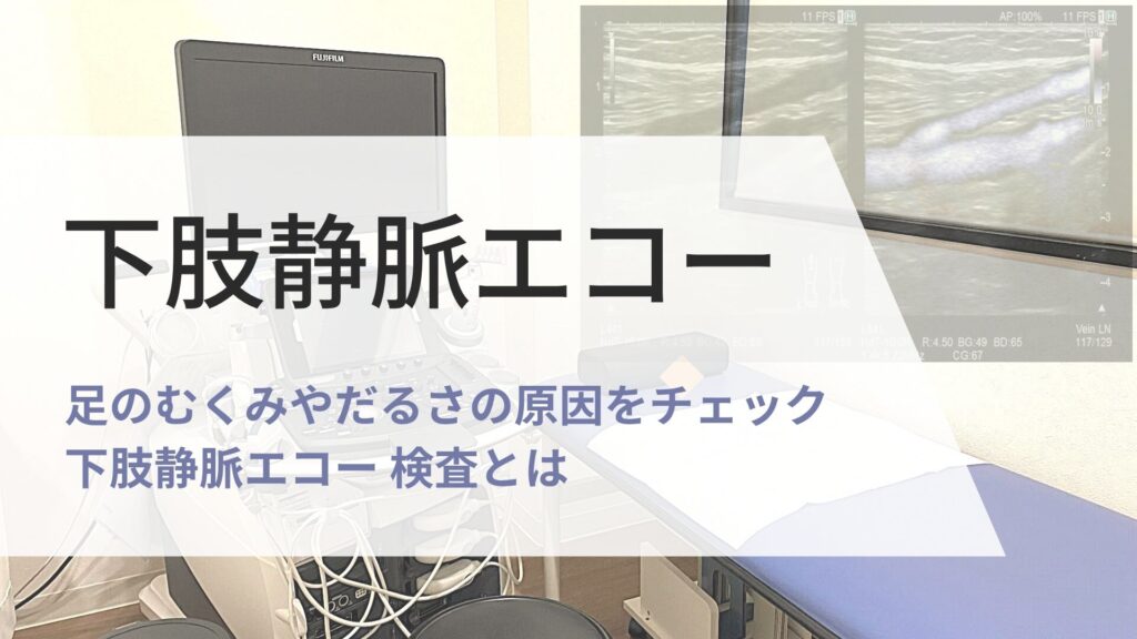 下肢静脈エコー 検査の画像