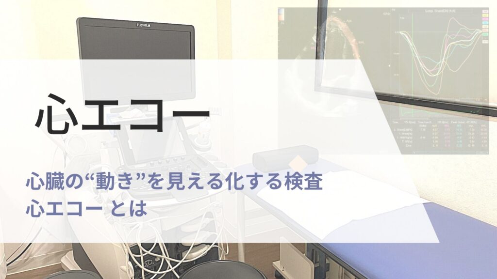 心エコー　検査の画像