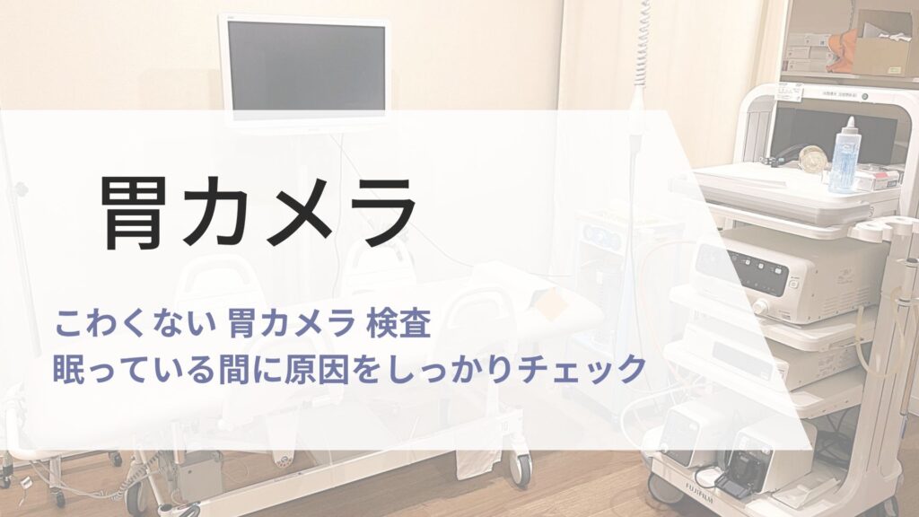 胃カメラ 検査の画像